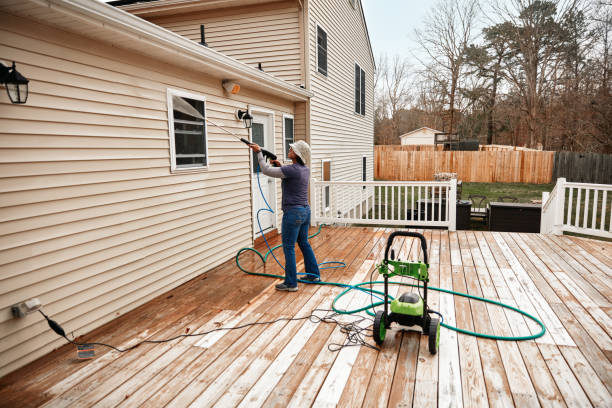 Best Affordable Power Washing  in Shelburn, IN
