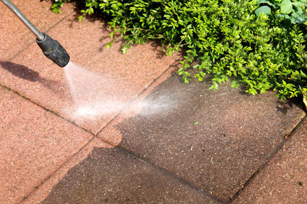 Best Affordable Pressure Washing  in Shelburn, IN